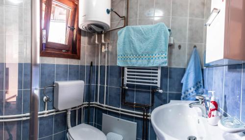 a bathroom with a toilet and a sink at Vila Seka in Kopaonik