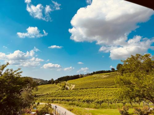 a vineyard on a hill with a blue sky and clouds at Chaledo Milagro in Ruino