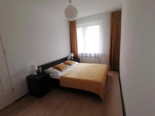 1 dormitorio con cama y ventana en Alicja apartament en Siemianowice Śląskie
