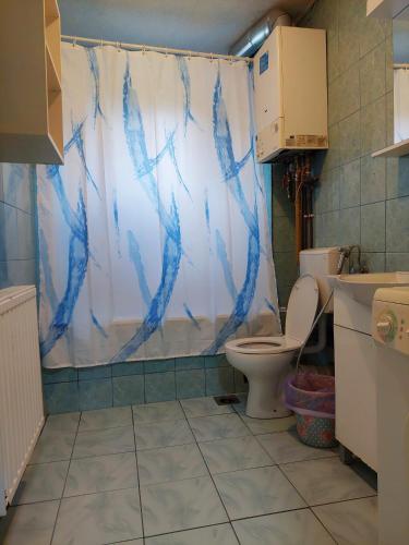 Koupelna v ubytování Apartment Stup
