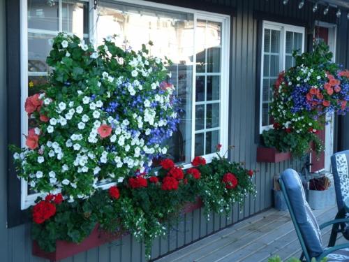 a window box with flowers on the side of a house at Driftwood by the Sea Inn in Campbell River