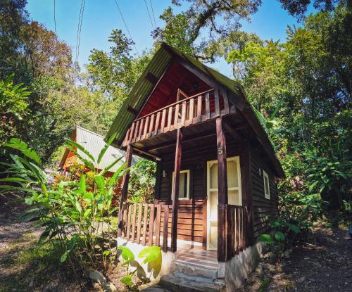 una pequeña casa en medio de un bosque en HOTEL CERVECERIA JAMES, en Xilitla