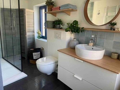 ein Bad mit einem Waschbecken, einem WC und einer Dusche in der Unterkunft la planque d'hugo in Jumièges
