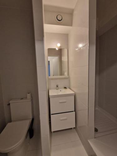 a bathroom with a toilet and a sink and a mirror at Résidence Du Grand Stade in Saint-Denis