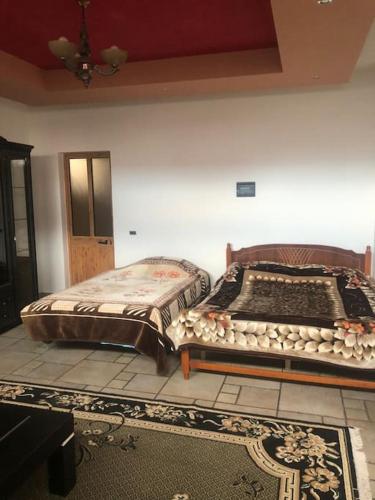 Katil atau katil-katil dalam bilik di Roni’s apartment