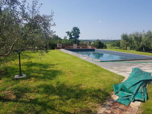 een blauw zeil op het gras naast een zwembad bij Cortona Gabolina e Turata Holiday Home in Cortona