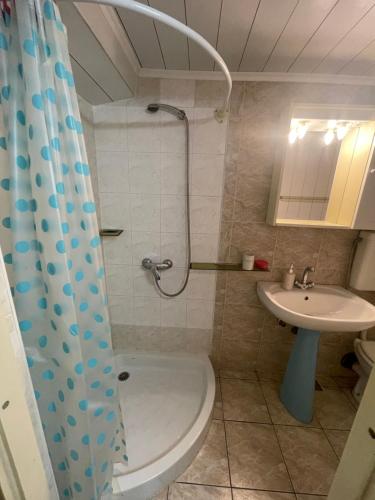 ein Bad mit einer Dusche, einem WC und einem Waschbecken in der Unterkunft Kometer soba in Bovec