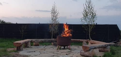 a fire pit with two trees and a pot at La Văru in Cîrţişoara