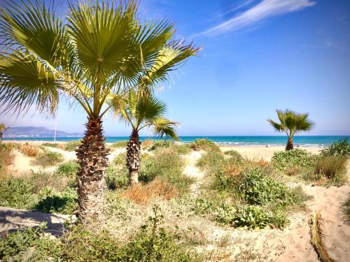 two palm trees on a sandy beach near the ocean at Studio El Grao in Grao de Castellón