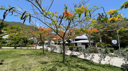 a tree with orange flowers in a yard at Island Escape, Marina Paradise & Beach Adventures in Saint Martin