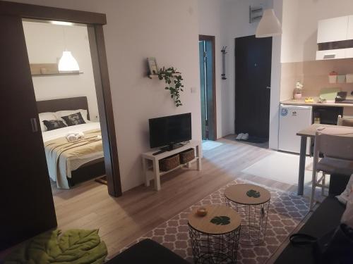 uma pequena sala de estar com uma cama e uma cozinha em apartman TARA Lux-Jagodina em Jagodina