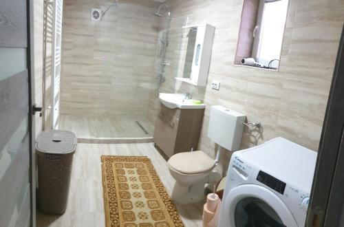 a bathroom with a toilet and a washing machine in it at Casa Misha in Petreşti