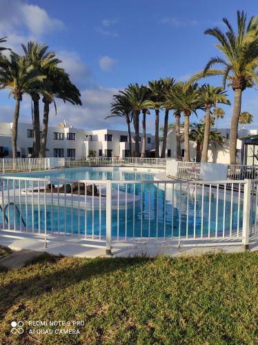 una piscina con una valla blanca y palmeras en Alojamiento Playa Centro Corralejo 16 en Corralejo