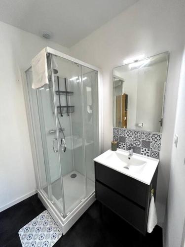 une salle de bain avec une douche en verre et un lavabo dans l'établissement maison bononia, à Boulogne-sur-Mer