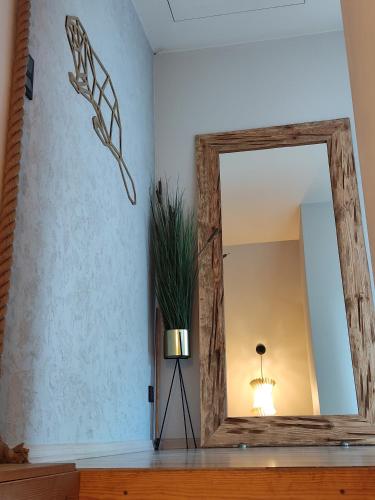 a mirror on a wall with a potted plant at Willa Bobrowa Dolina in Wójtostwo