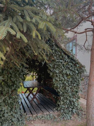 a bench covered in ivy next to a building at Вілла де Кампо in Chynadiyovo