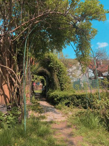 an archway over a dirt path in a garden at Вілла де Кампо in Chynadiyovo
