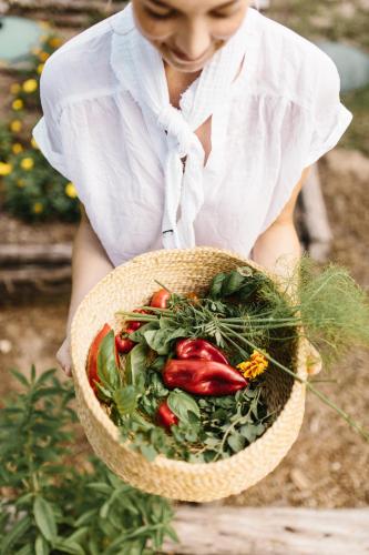 Κήπος έξω από το The Wayback Boutique Hotel