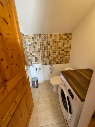 a bathroom with a washing machine and a toilet at Villa Joković in Lumbarda