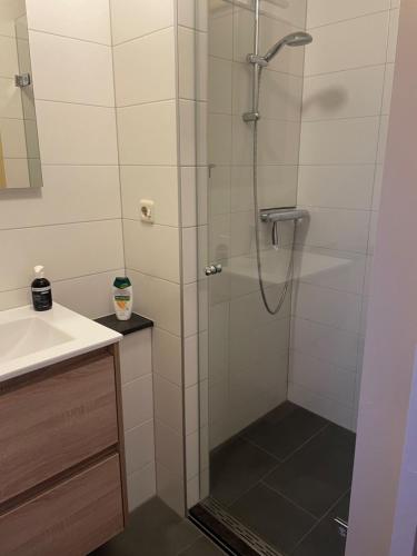 a shower with a glass door next to a sink at An de Esch in Dwingeloo