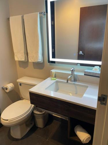 a bathroom with a sink and a toilet and a mirror at Holiday Inn Express Mexico City Satelite by IHG in Mexico City