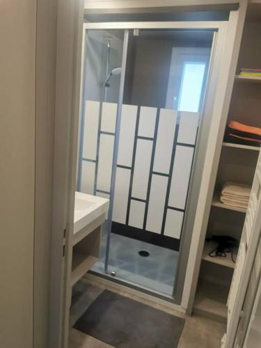 a bathroom with a glass shower and a sink at Chez Christian Chalet aux bords du lac de Peyre in Labouheyre