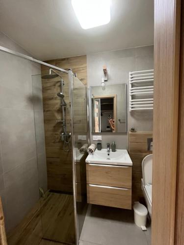 uma casa de banho com um chuveiro, um lavatório e um WC. em Apartament blisko morza em Gdynia