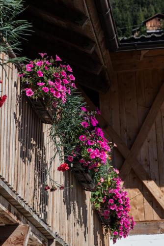 Gallery image of Perchnerhof in Terento