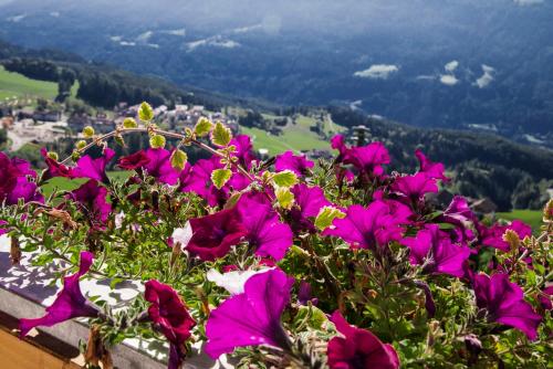 Gallery image of Perchnerhof in Terento