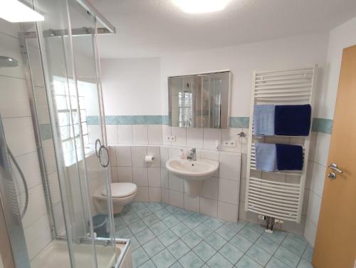 a bathroom with a sink and a toilet and a shower at Ferienwohnung Barner - KEINE MONTEURE in Owen