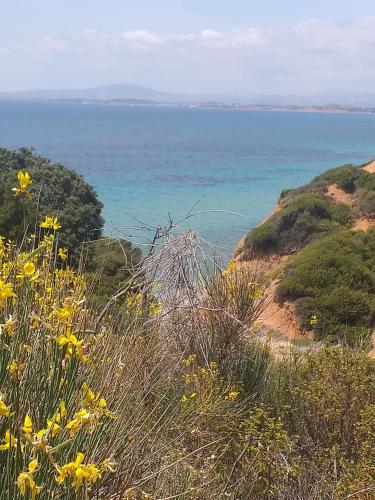 a view of the ocean from a hill with yellow flowers at Tasos in Nea Potidaea