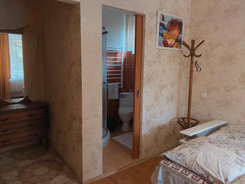 a bedroom with a bed and a bathroom with a toilet at Вілла де Кампо in Chynadiyovo
