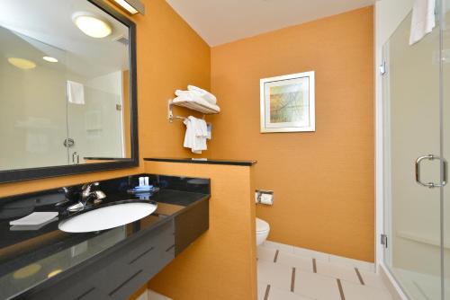 a bathroom with a sink and a mirror and a toilet at Fairfield Inn & Suites by Marriott Elmira Corning in Horseheads
