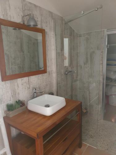 een badkamer met een witte wastafel en een douche bij Maison Parc Ducup in Perpignan