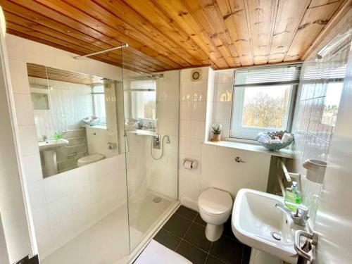 a bathroom with a shower and a toilet and a sink at High-Ceiling Flat with Rooftop & Skyline View in London