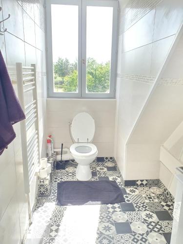 une salle de bain avec toilettes et fenêtre dans l'établissement BELLE MAISON A Ménars, à Menars