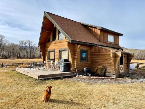 a brown dog sitting in front of a house at Sportsman Lodge Melrose MT in Melrose