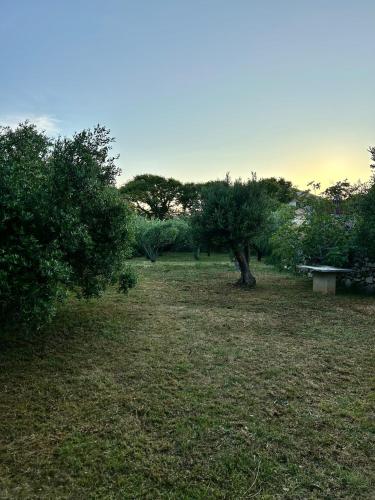 a park with trees and a bench in a field at Villa Roseal in Povljana