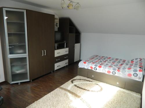 1 dormitorio con 1 cama, armario y alfombra en Villa Blacky en Cluj-Napoca