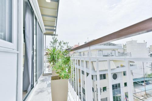 Glassy Apartment