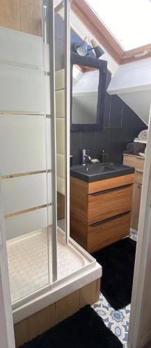 a small bathroom with a sink and a mirror at Cocon in Courcy