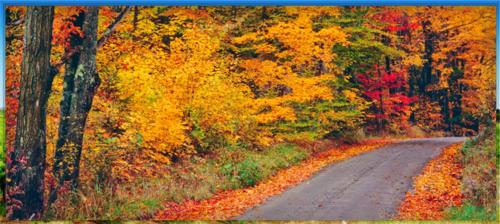 a painting of a road in the fall at Norwalk Inn & Conference Center in Norwalk
