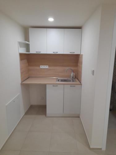 a small kitchen with white cabinets and a sink at V Pražské in Hodkovice nad Mohelkou