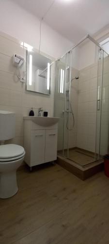 a bathroom with a shower and a toilet and a sink at Kinizsi Apartman in Miskolc