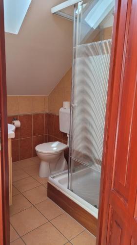 ein Badezimmer mit Toilette und Glasdusche in der Unterkunft Villa Zlata Praha in Hévíz