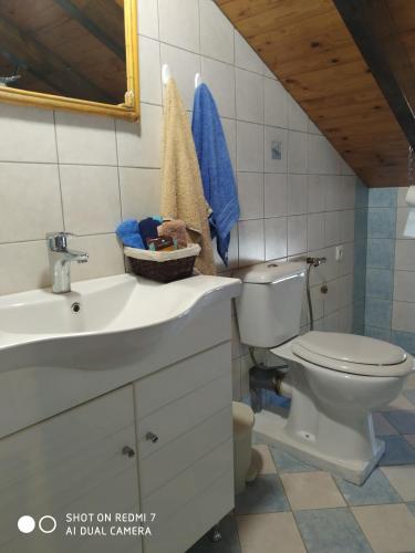 a bathroom with a toilet and a sink at ΘΕΑΛΟΣ ΒΡΑΧΟΣ in Saterlí