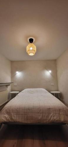 um quarto com uma cama com uma luz no tecto em Maison familiale pour 4 pers. em Ersa