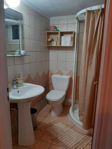 a bathroom with a toilet and a sink and a shower at Theros Apartment in Spartokhórion