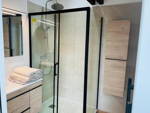 a shower with a glass door in a bathroom at Élégant T4 Centre Reims/Parking Privé in Reims