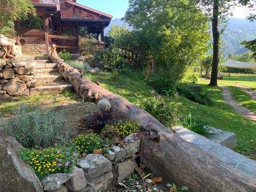 Ein Garten an der Unterkunft Agriturismo Il Viandante